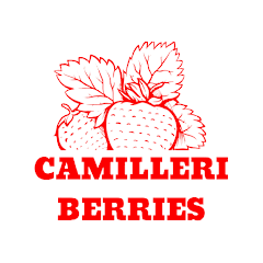 Camilleri Berries